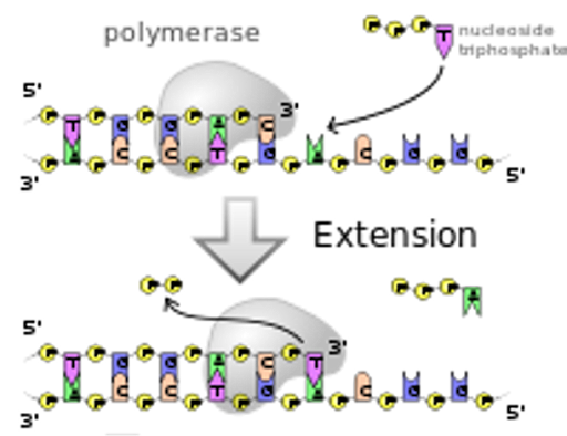 Leadership - dual-use technology regulation diagram