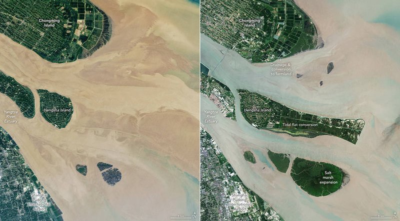 Funding - scientist studying wildlife through satellite imagery